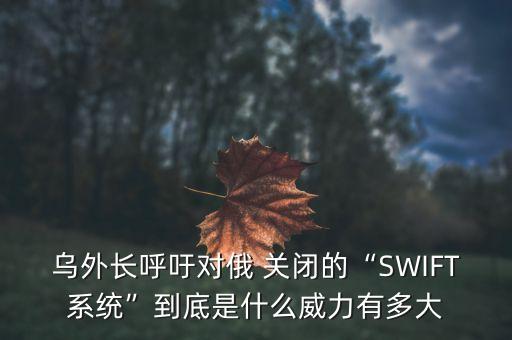 烏外長呼吁對(duì)俄 關(guān)閉的“SWIFT系統(tǒng)”到底是什么威力有多大