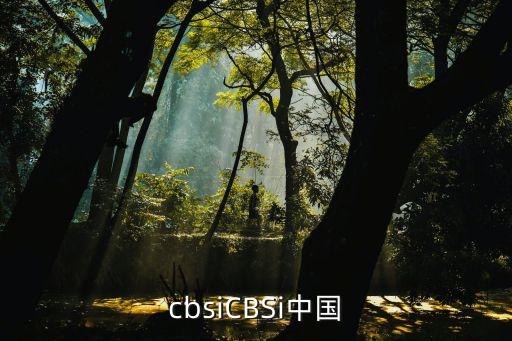 cbsiCBSi中國