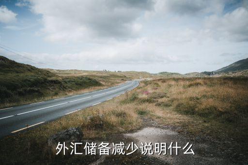  外匯儲(chǔ)備減少說(shuō)明什么