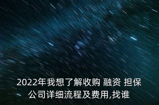 2022年我想了解收購 融資 擔保公司詳細流程及費用,找誰