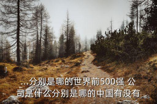 ...分別是哪的世界前500強(qiáng) 公司是什么分別是哪的中國有沒有