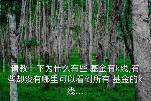 請(qǐng)教一下為什么有些 基金有k線,有些卻沒有哪里可以看到所有 基金的k線...