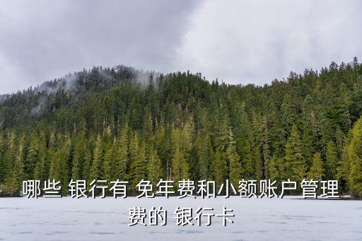 哪些 銀行有 免年費和小額賬戶管理費的 銀行卡