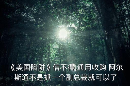 法國阿爾斯通公司代理