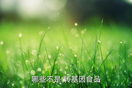 中國退回轉(zhuǎn)基因玉米,中國市場上有轉(zhuǎn)基因玉米嗎