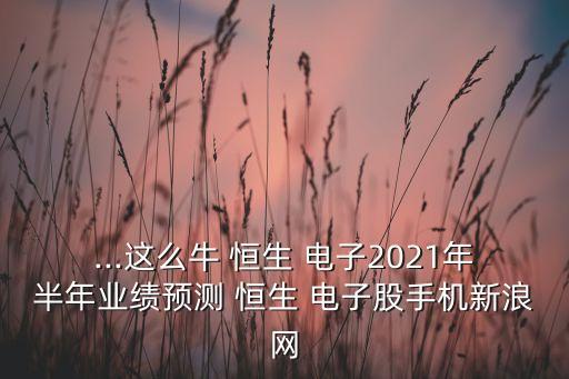 ...這么牛 恒生 電子2021年半年業(yè)績預(yù)測 恒生 電子股手機新浪網(wǎng)