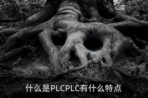 什么是PLCPLC有什么特點