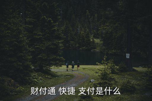 財付通 快捷 支付是什么