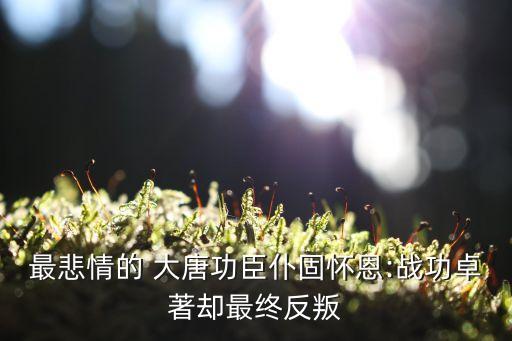 最悲情的 大唐功臣仆固懷恩:戰(zhàn)功卓著卻最終反叛