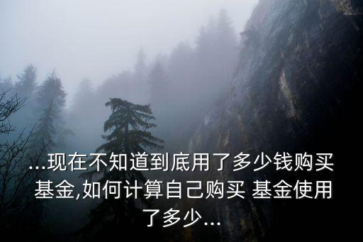 ...現(xiàn)在不知道到底用了多少錢購(gòu)買 基金,如何計(jì)算自己購(gòu)買 基金使用了多少...