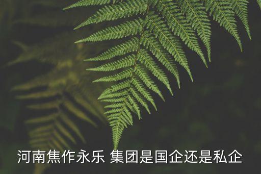 河南焦作永樂 集團(tuán)是國企還是私企