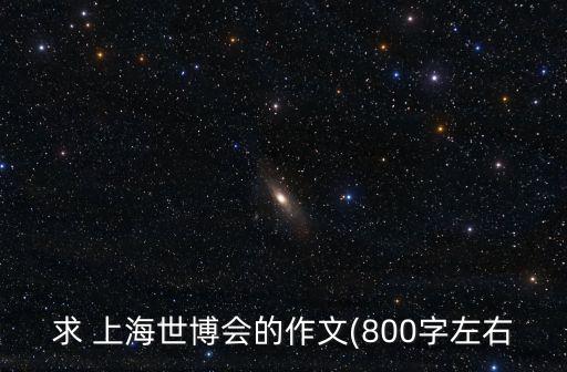 求 上海世博會(huì)的作文(800字左右