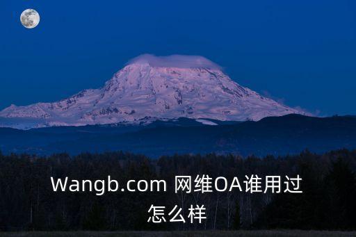 杭州網(wǎng)維有限公司,青島網(wǎng)維互動軟件有限公司