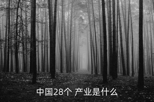 中國28個 產(chǎn)業(yè)是什么