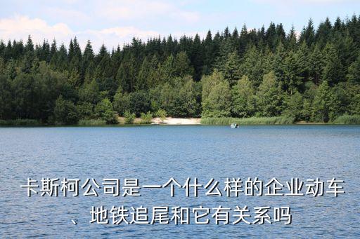  卡斯柯公司是一個(gè)什么樣的企業(yè)動(dòng)車、地鐵追尾和它有關(guān)系嗎