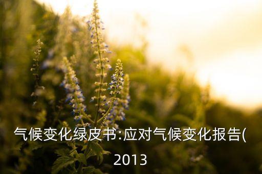 氣候變化綠皮書(shū):應(yīng)對(duì)氣候變化報(bào)告(2013