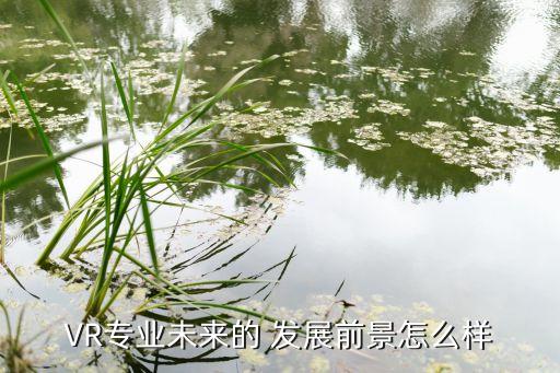 VR專(zhuān)業(yè)未來(lái)的 發(fā)展前景怎么樣