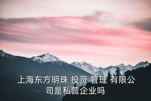 上海鋅湛投資管理有限公司,安陽(yáng)鋅倮投資管理有限公司