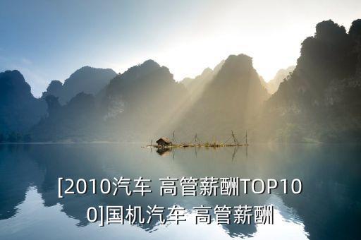 [2010汽車 高管薪酬TOP100]國機汽車 高管薪酬