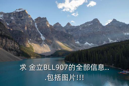 求 金立BLL907的全部信息...包括圖片!!!