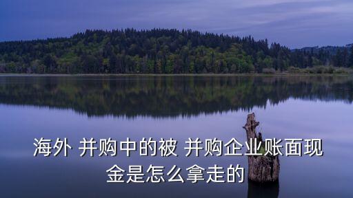  海外 并購中的被 并購企業(yè)賬面現(xiàn)金是怎么拿走的