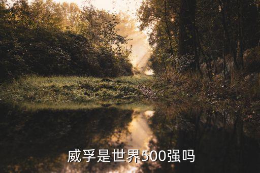  威孚是世界500強(qiáng)嗎