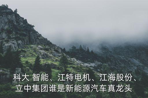  科大 智能、江特電機(jī)、江海股份、立中集團(tuán)誰是新能源汽車真龍頭