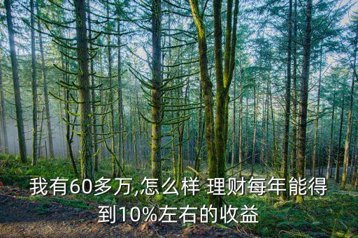 我有60多萬(wàn),怎么樣 理財(cái)每年能得到10%左右的收益