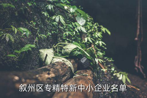 敘州區(qū)專精特新中小企業(yè)名單