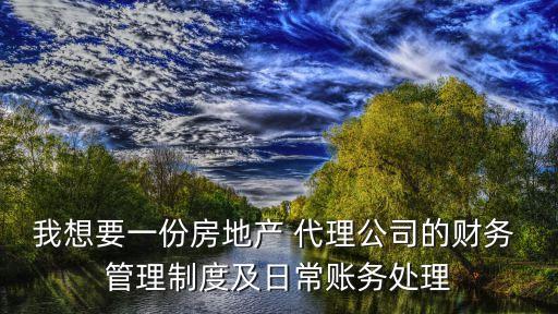 我想要一份房地產(chǎn) 代理公司的財(cái)務(wù) 管理制度及日常賬務(wù)處理