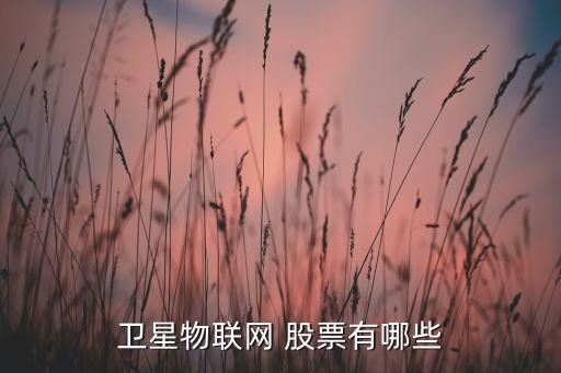 衛(wèi)星物聯(lián)網(wǎng) 股票有哪些