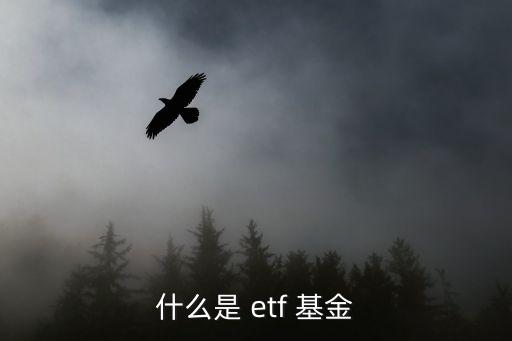 什么是 etf 基金