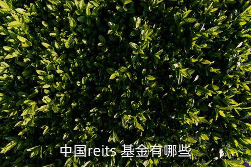 中國reits 基金有哪些