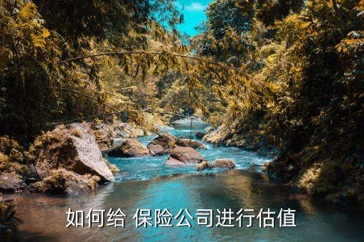 如何給 保險(xiǎn)公司進(jìn)行估值