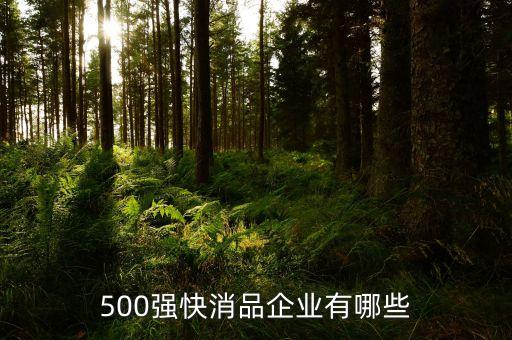 500強(qiáng)快消品企業(yè)有哪些