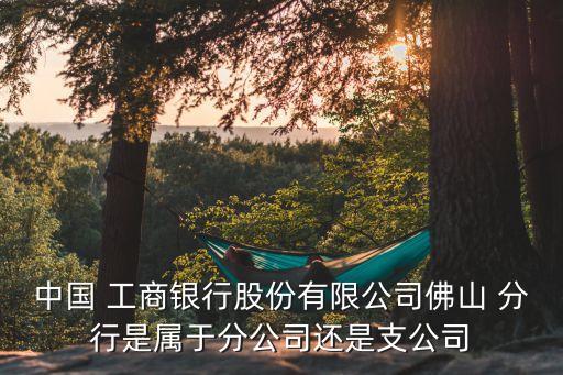 中國 工商銀行股份有限公司佛山 分行是屬于分公司還是支公司