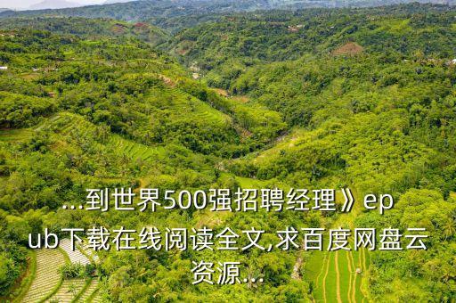 ...到世界500強(qiáng)招聘經(jīng)理》epub下載在線閱讀全文,求百度網(wǎng)盤云資源...