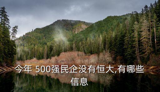 今年 500強(qiáng)民企沒有恒大,有哪些信息