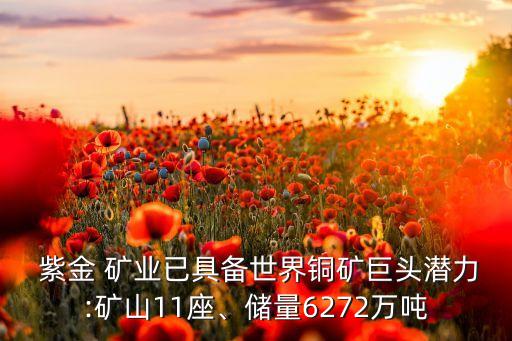  紫金 礦業(yè)已具備世界銅礦巨頭潛力:礦山11座、儲(chǔ)量6272萬(wàn)噸