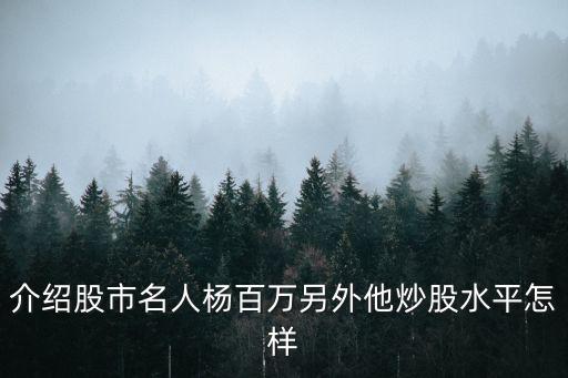 介紹股市名人楊百萬(wàn)另外他炒股水平怎樣