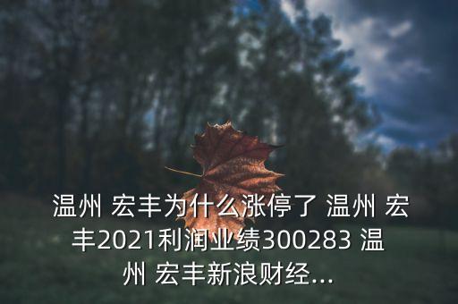  溫州 宏豐為什么漲停了 溫州 宏豐2021利潤業(yè)績300283 溫州 宏豐新浪財經(jīng)...