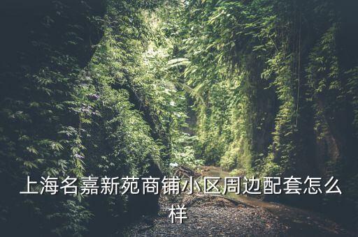  上海名嘉新苑商鋪小區(qū)周邊配套怎么樣