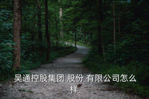  吳通控股集團 股份 有限公司怎么樣