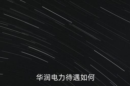 南京華潤集團(tuán)電廠部,華潤集團(tuán)仙桃電廠