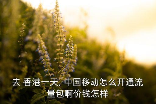 中國移動香港漫游資費(fèi)