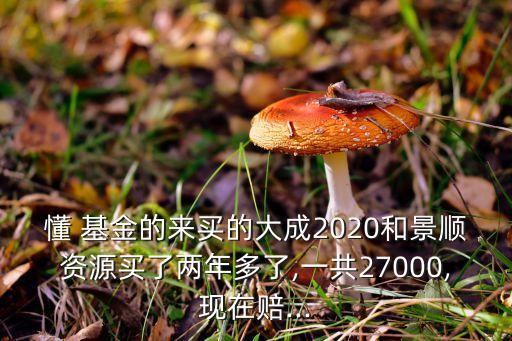 懂 基金的來(lái)買的大成2020和景順資源買了兩年多了,一共27000,現(xiàn)在賠...