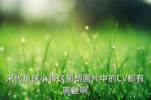 宋代足球小將這部動畫片中的CV都有哪些啊