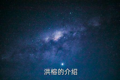 戰(zhàn)上海洪榕電子書