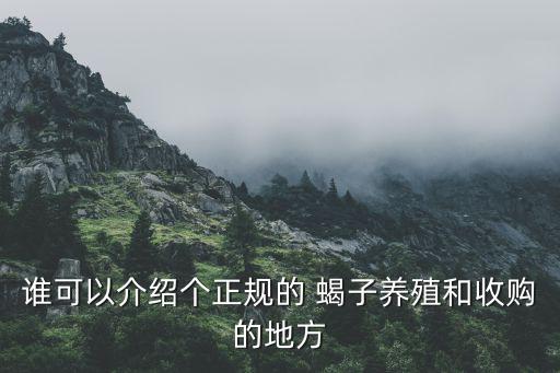 誰(shuí)可以介紹個(gè)正規(guī)的 蝎子養(yǎng)殖和收購(gòu)的地方