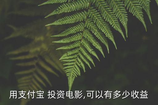 用支付寶 投資電影,可以有多少收益